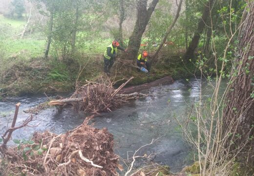 A Xunta executa actuacións de limpeza nos treitos interurbanos do río Belelle, no concello de Neda
